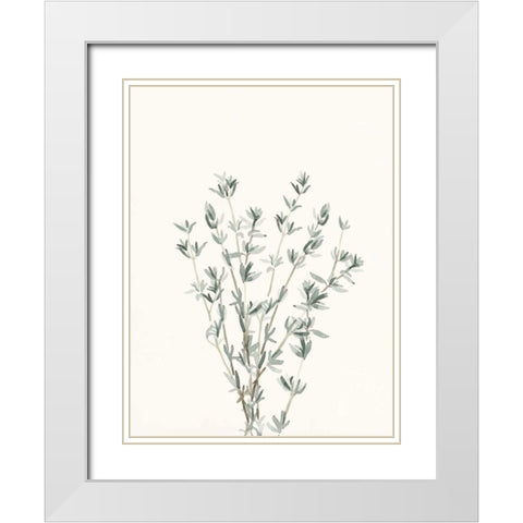 Delicate Sage Botanical III White Modern Wood Framed Art Print with Double Matting by Caroline, Emma