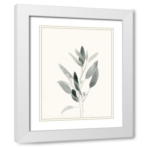 Delicate Sage Botanical IV White Modern Wood Framed Art Print with Double Matting by Caroline, Emma