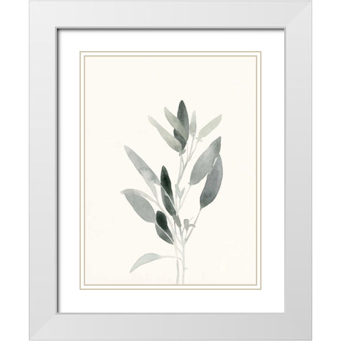 Delicate Sage Botanical IV White Modern Wood Framed Art Print with Double Matting by Caroline, Emma
