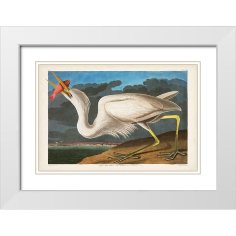 Pl 281 Great White Heron White Modern Wood Framed Art Print with Double Matting by Audubon, John James