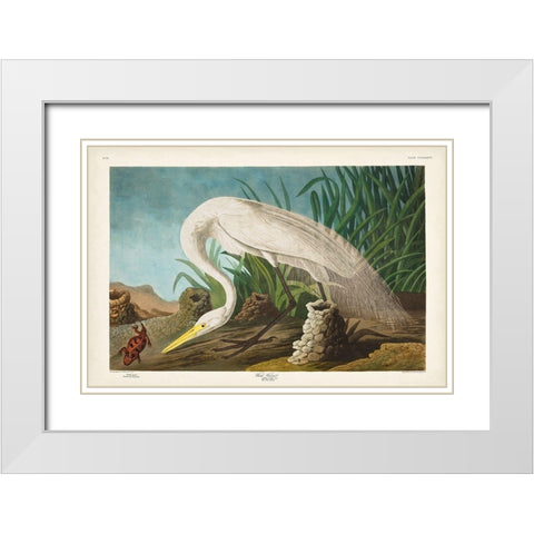 Pl 386 White Heron White Modern Wood Framed Art Print with Double Matting by Audubon, John James