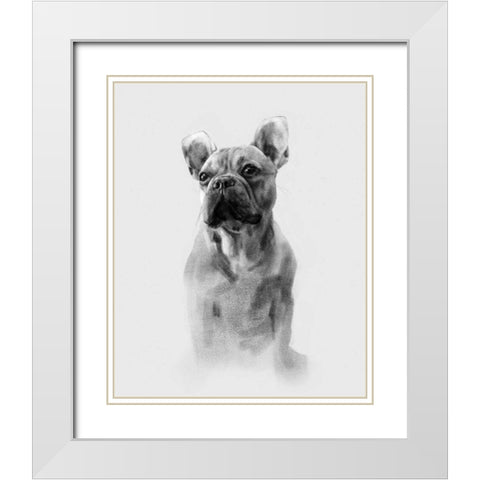 Pug Portrait I White Modern Wood Framed Art Print with Double Matting by Caroline, Emma
