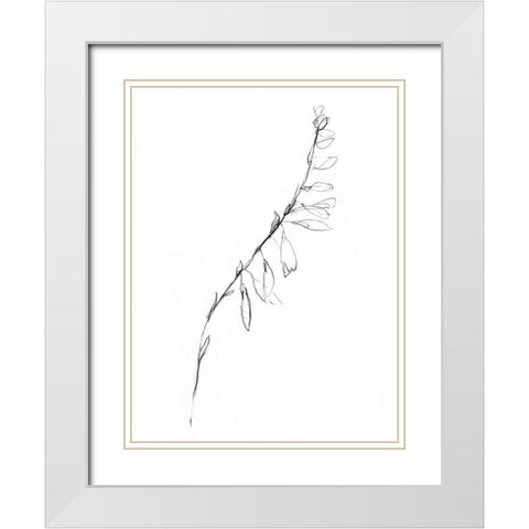 Stem Contour V White Modern Wood Framed Art Print with Double Matting by Goldberger, Jennifer