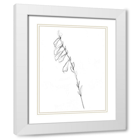 Stem Contour VI White Modern Wood Framed Art Print with Double Matting by Goldberger, Jennifer