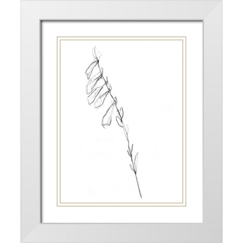 Stem Contour VI White Modern Wood Framed Art Print with Double Matting by Goldberger, Jennifer