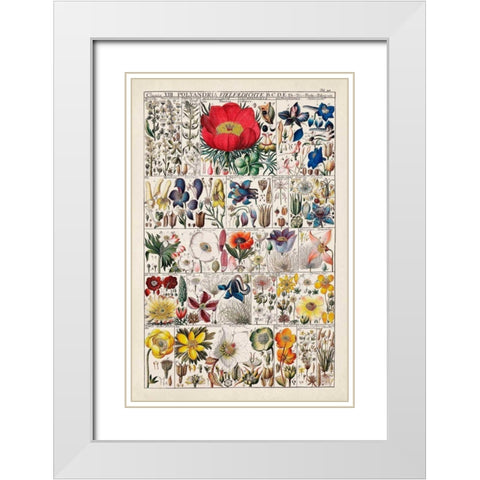 Floral Chart White Modern Wood Framed Art Print with Double Matting by Vision Studio