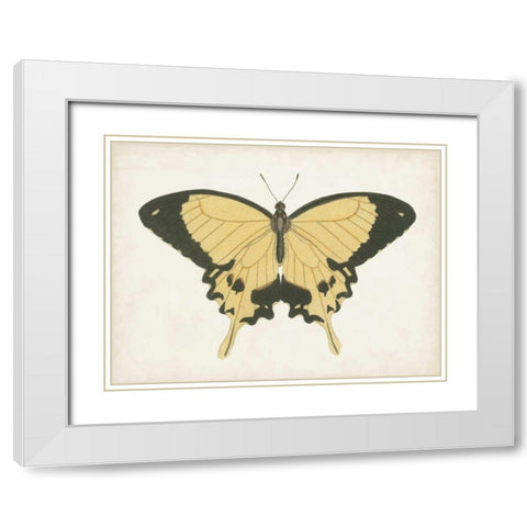 Beautiful Butterfly I White Modern Wood Framed Art Print with Double Matting by Vision Studio