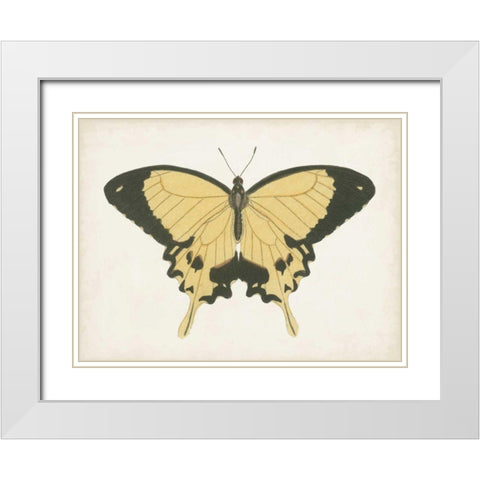 Beautiful Butterfly I White Modern Wood Framed Art Print with Double Matting by Vision Studio