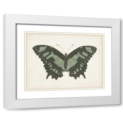 Beautiful Butterfly II White Modern Wood Framed Art Print with Double Matting by Vision Studio