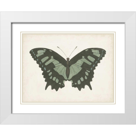 Beautiful Butterfly II White Modern Wood Framed Art Print with Double Matting by Vision Studio