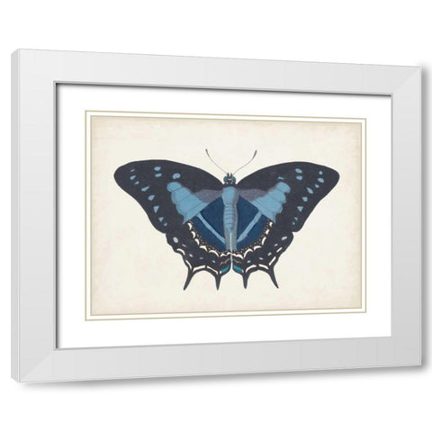Beautiful Butterfly III White Modern Wood Framed Art Print with Double Matting by Vision Studio