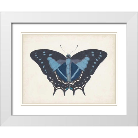 Beautiful Butterfly III White Modern Wood Framed Art Print with Double Matting by Vision Studio