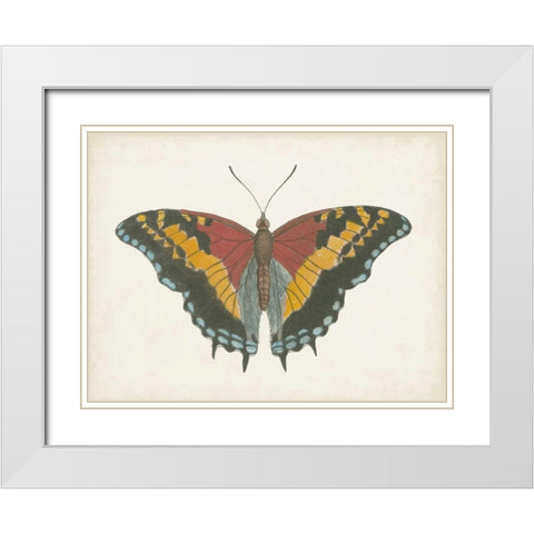 Beautiful Butterfly IV White Modern Wood Framed Art Print with Double Matting by Vision Studio