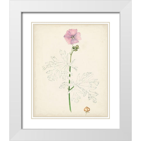 Watercolor Botanical Sketches III White Modern Wood Framed Art Print with Double Matting by Unknown