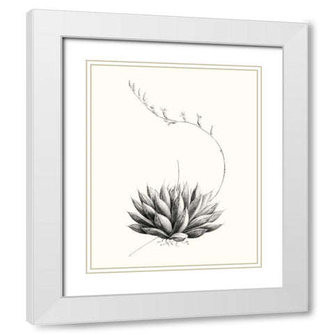 Graphic Succulents IV White Modern Wood Framed Art Print with Double Matting by Vision Studio