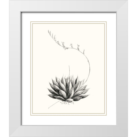 Graphic Succulents IV White Modern Wood Framed Art Print with Double Matting by Vision Studio