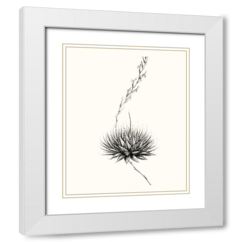 Graphic Succulents V White Modern Wood Framed Art Print with Double Matting by Vision Studio