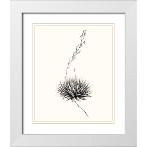 Graphic Succulents V White Modern Wood Framed Art Print with Double Matting by Vision Studio