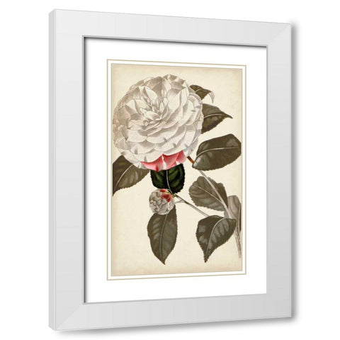Silvery Botanicals I White Modern Wood Framed Art Print with Double Matting by Vision Studio