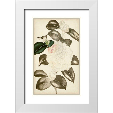 Silvery Botanicals II White Modern Wood Framed Art Print with Double Matting by Vision Studio