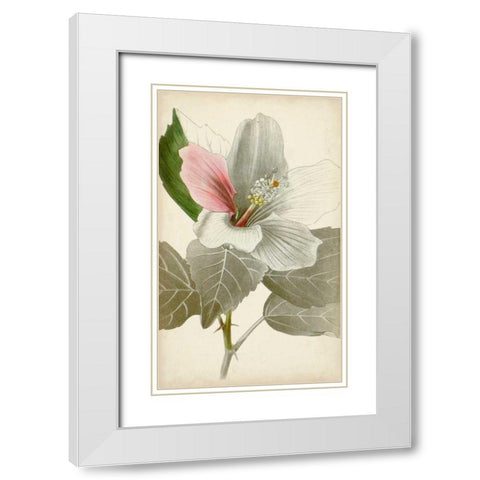 Silvery Botanicals VI White Modern Wood Framed Art Print with Double Matting by Vision Studio