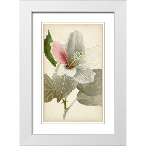 Silvery Botanicals VI White Modern Wood Framed Art Print with Double Matting by Vision Studio