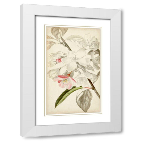 Silvery Botanicals VIII White Modern Wood Framed Art Print with Double Matting by Vision Studio