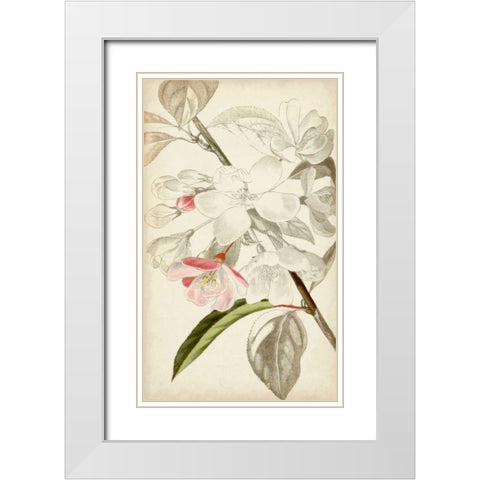 Silvery Botanicals VIII White Modern Wood Framed Art Print with Double Matting by Vision Studio