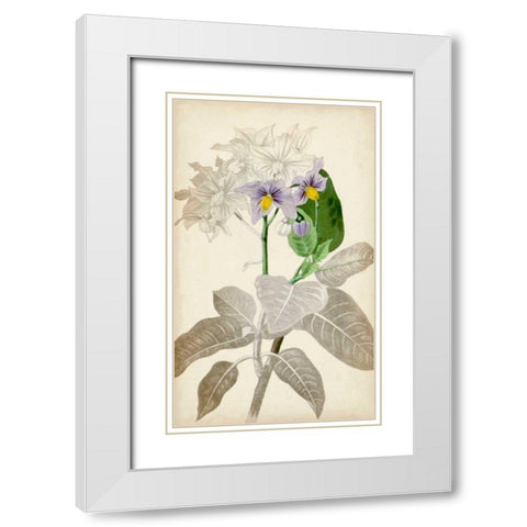 Silvery Botanicals IX White Modern Wood Framed Art Print with Double Matting by Vision Studio