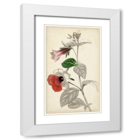 Silvery Botanicals X White Modern Wood Framed Art Print with Double Matting by Vision Studio