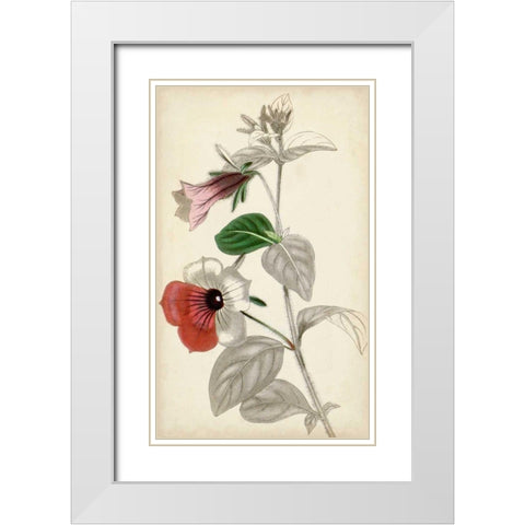 Silvery Botanicals X White Modern Wood Framed Art Print with Double Matting by Vision Studio