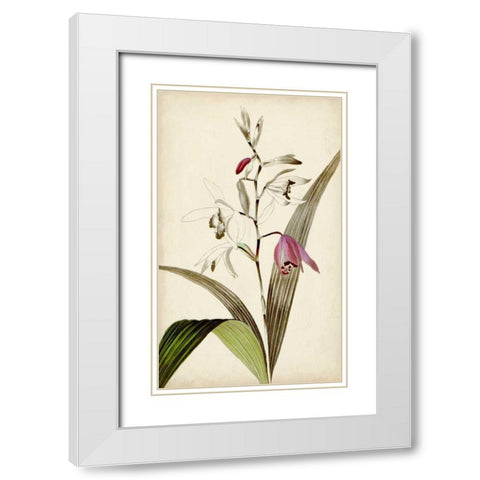 Silvery Botanicals XI White Modern Wood Framed Art Print with Double Matting by Vision Studio