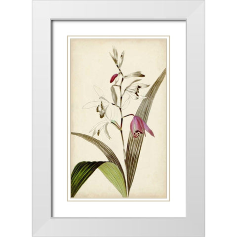 Silvery Botanicals XI White Modern Wood Framed Art Print with Double Matting by Vision Studio