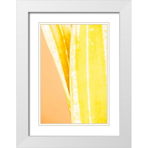 Hot House I White Modern Wood Framed Art Print with Double Matting by Stramel, Renee W.