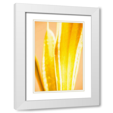 Hot House II White Modern Wood Framed Art Print with Double Matting by Stramel, Renee W.