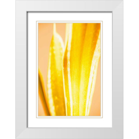 Hot House II White Modern Wood Framed Art Print with Double Matting by Stramel, Renee W.
