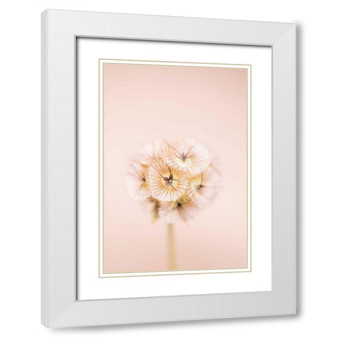 Bleach Blonde II White Modern Wood Framed Art Print with Double Matting by Stramel, Renee W.