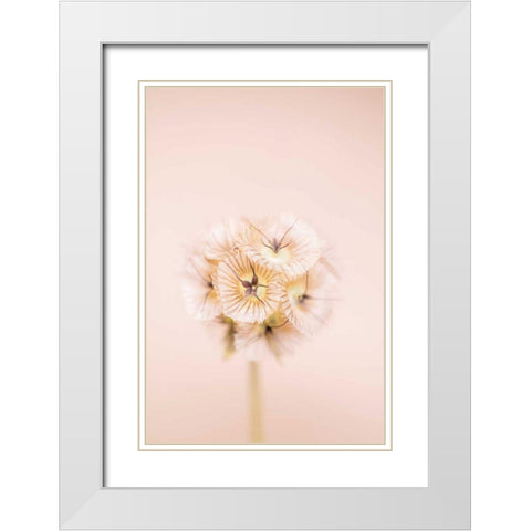 Bleach Blonde II White Modern Wood Framed Art Print with Double Matting by Stramel, Renee W.