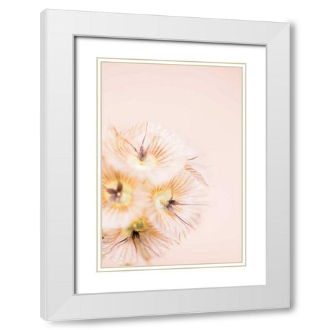 Bleach Blonde III White Modern Wood Framed Art Print with Double Matting by Stramel, Renee W.