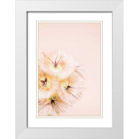 Bleach Blonde III White Modern Wood Framed Art Print with Double Matting by Stramel, Renee W.