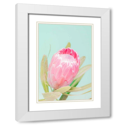 Sun Drenched Blossom I White Modern Wood Framed Art Print with Double Matting by Stramel, Renee W.