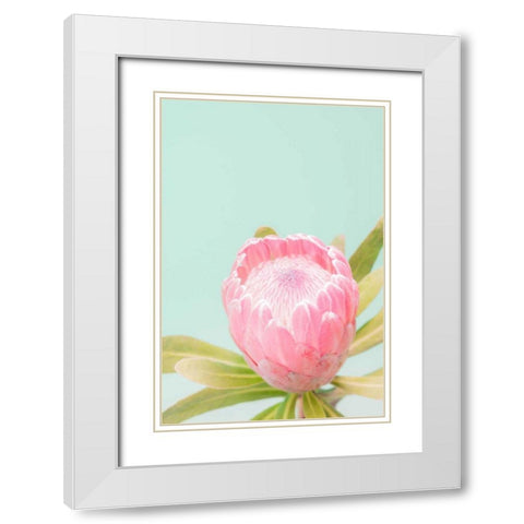 Sun Drenched Blossom II White Modern Wood Framed Art Print with Double Matting by Stramel, Renee W.