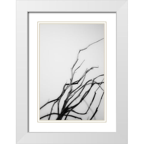Searching Branches I White Modern Wood Framed Art Print with Double Matting by Stramel, Renee W.