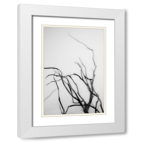 Searching Branches II White Modern Wood Framed Art Print with Double Matting by Stramel, Renee W.
