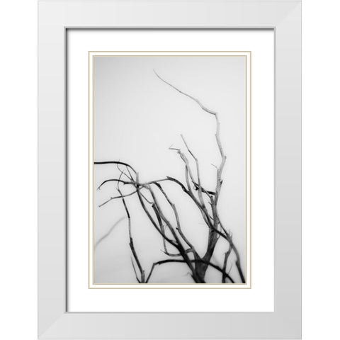 Searching Branches II White Modern Wood Framed Art Print with Double Matting by Stramel, Renee W.