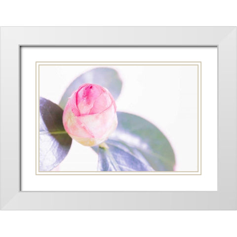 Halogen Bloom II White Modern Wood Framed Art Print with Double Matting by Stramel, Renee W.