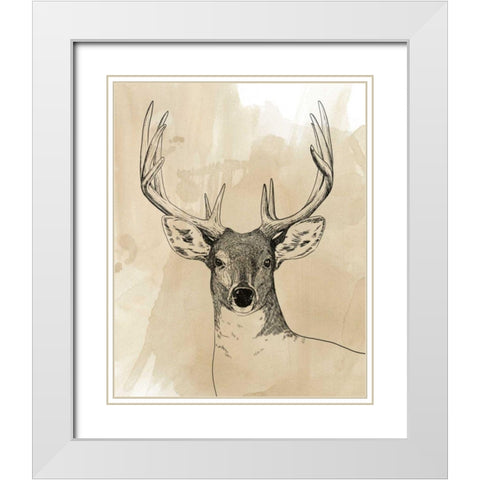 Burnished Buck II White Modern Wood Framed Art Print with Double Matting by Popp, Grace