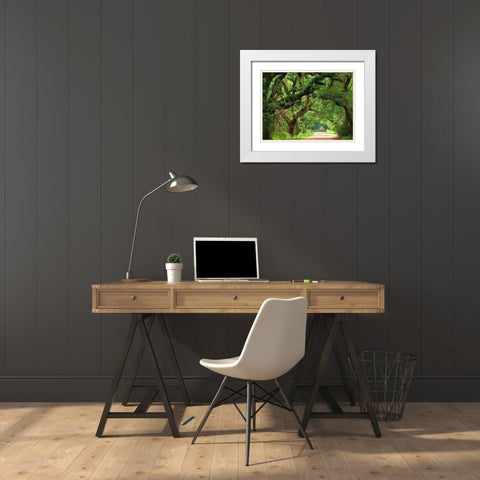 Canopy Road V White Modern Wood Framed Art Print with Double Matting by McLoughlin, James