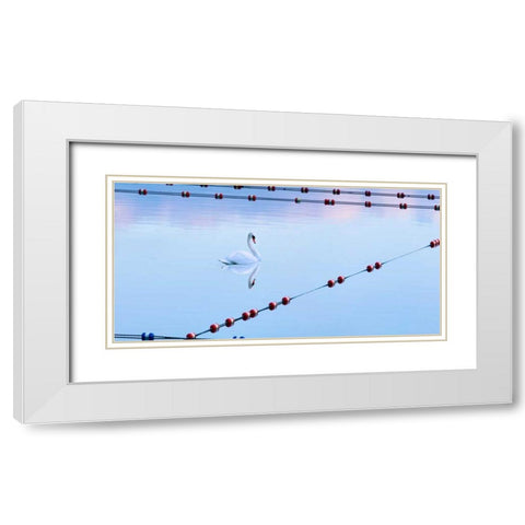 Swan and Ropes White Modern Wood Framed Art Print with Double Matting by McLoughlin, James