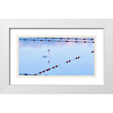 Swan and Ropes White Modern Wood Framed Art Print with Double Matting by McLoughlin, James